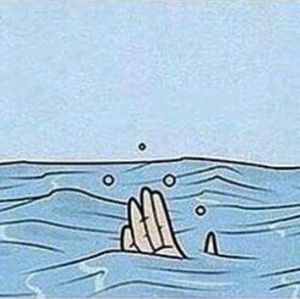 Meet your Posher, Joel